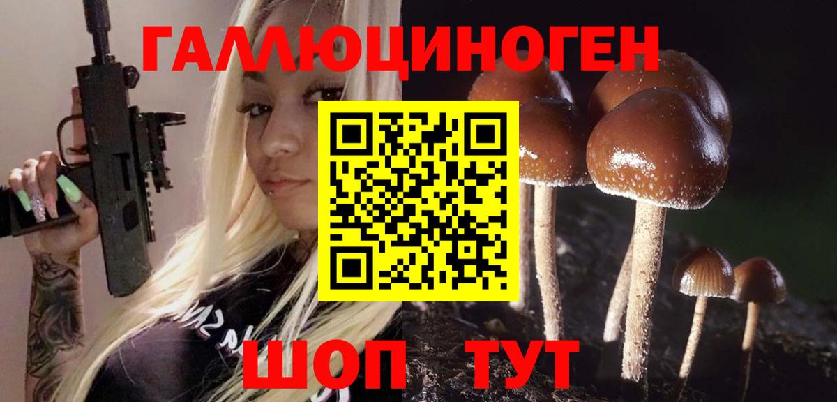 Семилуки  Псилоцибиновые грибы Psilocybine cubensis  где продают наркотики  Вход с VPN 